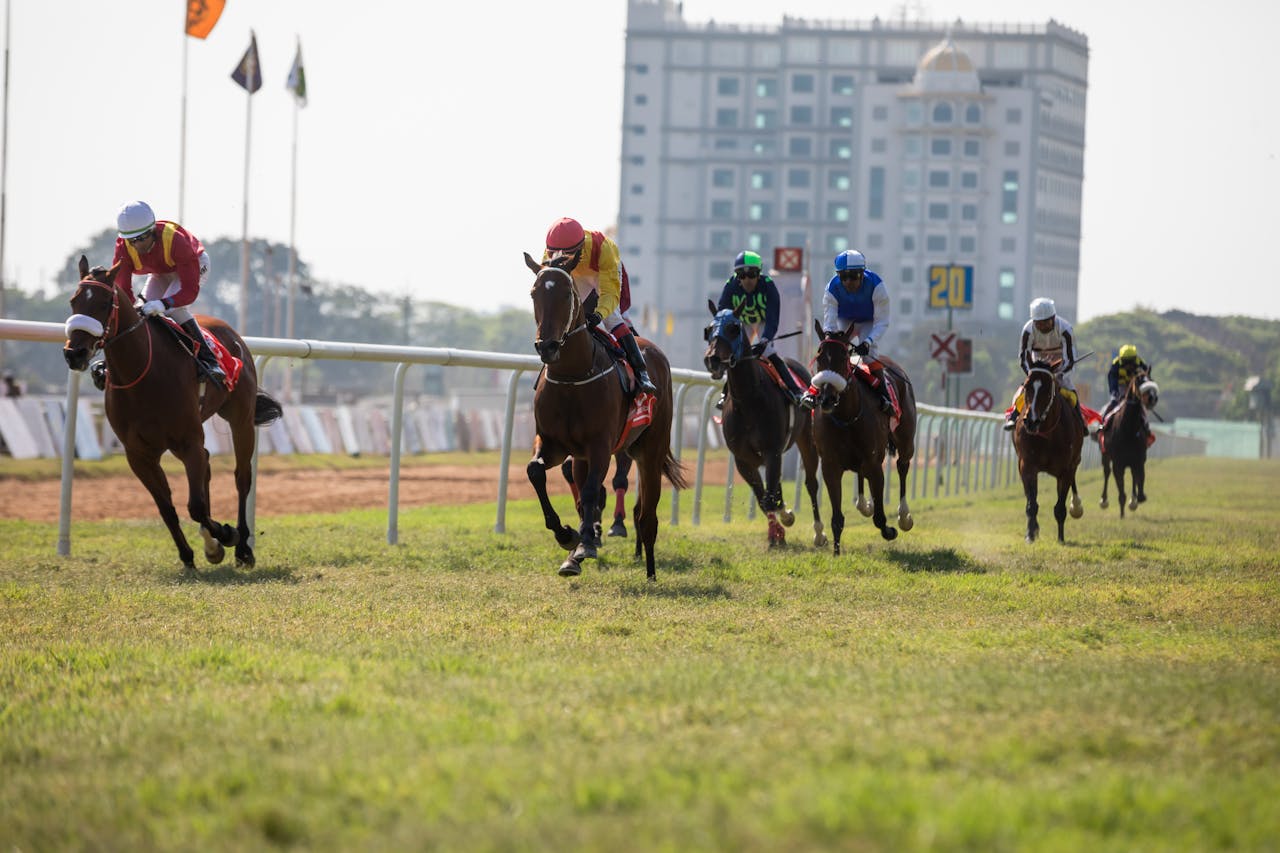 Dynamic image of a thrilling horse race on a sunny day with city buildings in the background.