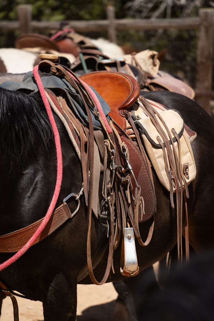 Detailed view of a saddled horse in Bryce Canyon City, Utah, showcasing rural life and equestrian equipment.